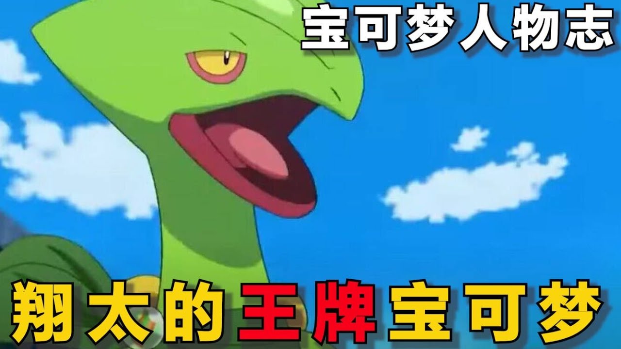 【宝可梦人物志】翔太的王牌宝可梦！多次进化变强，但依旧被小智的忍蛙轻松击败！