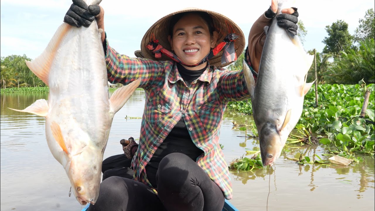 1663 / Trải nghiệm 24h giăng câu cá tra sông Cái Bé