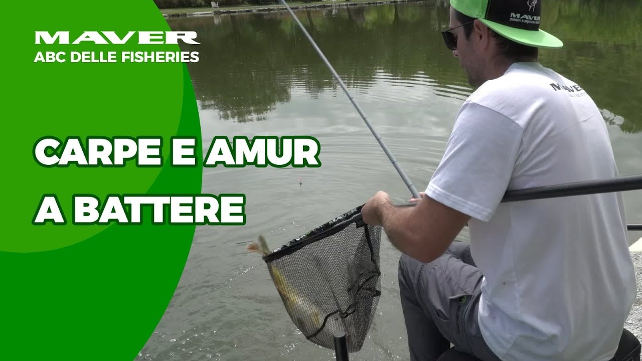 𝐀𝐁𝐂 𝐝𝐞𝐥𝐥𝐞 𝐅𝐢𝐬𝐡𝐞𝐫𝐢𝐞𝐬 : Carpe e Amur a battere