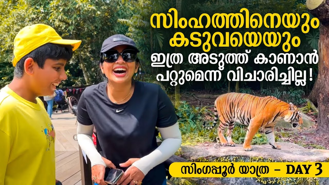 സിംഹത്തിനെയും കടുവയെയും ഇത്ര അടുത്ത് കാണാ പറ്റുമെന്ന് വിചാരിച്ചില്ല | സിംഗപ്പൂർ യാത്ര - Navya Nair