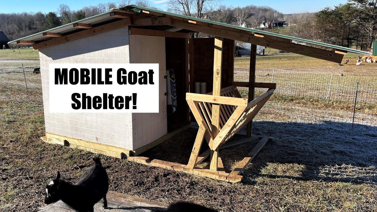 Goat Shed Build (MOVABLE Shelter With Covered Hay Crib & Feeders!)