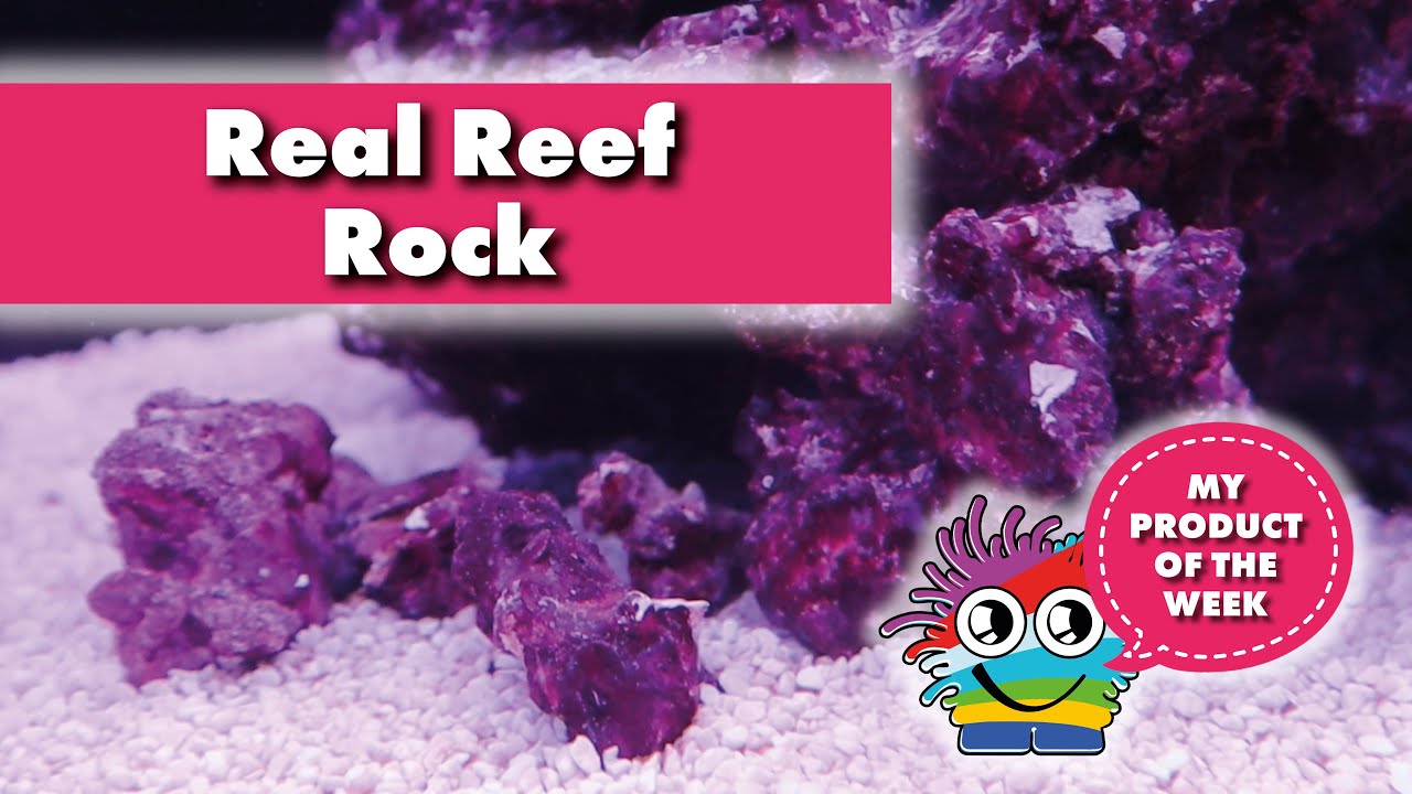 Product of the week. All you need to know about Real Reef Rock