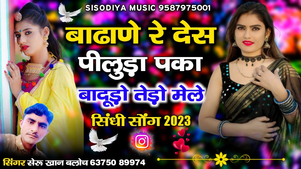 बाढाणे रे देश में पीलुडा़ पका बाधुडो़ तेडो़ मेल।। सिंधी सोंग 2023।। शेरुखान बलोच