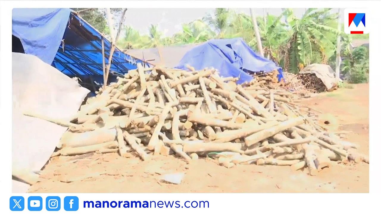 പാചകവാതക ക്ഷാമത്തിൽ വിറകിന് ഡിമാൻഡ് കൂടി; വില കുതിച്ചുയർന്നു | LPGShortage | FirewoodDemand