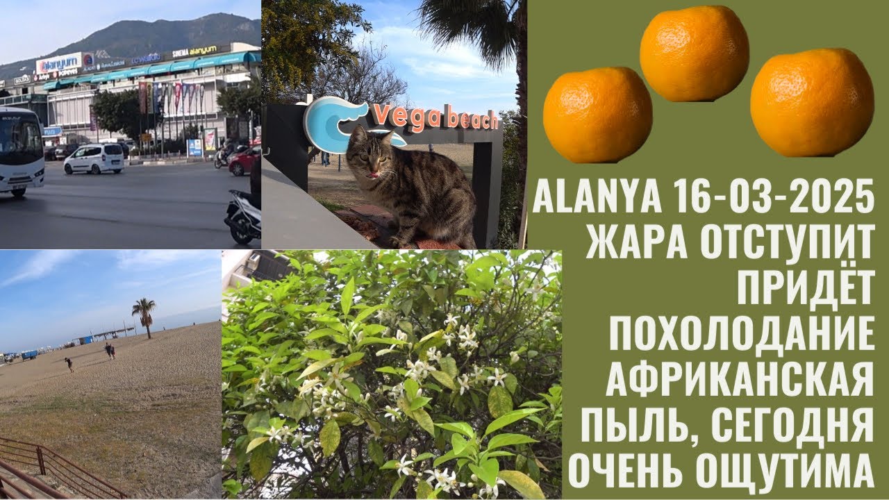 ОТ ТЦ ALANYUM К ОТЕЛЯМ ANANAS И BIG BLUE SKY HOTEL 16 МАРТА 2025 ALANYA АФРИКАНСКАЯ ПЫЛЬ И ЖАРА