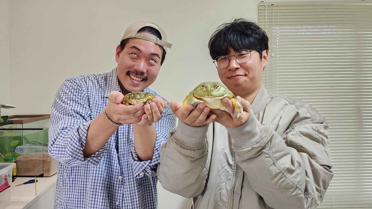 합의결혼 시키려고 유튜버 집에 찾아갔는데...생물들 상태가..