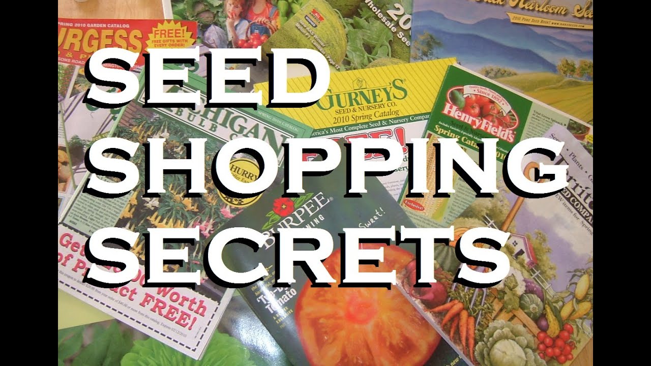 Shopping Secrets Seed Companies Don't Want You To Know - Save Up To 75%
