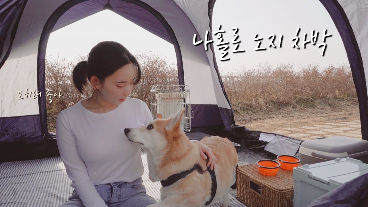 3시간 달려왔는데 노지가 막혔네요..? 급하게 찾은 노지에서 하룻밤ㅣ5만 구독자 이벤트 (Feat. 소니 카메라)