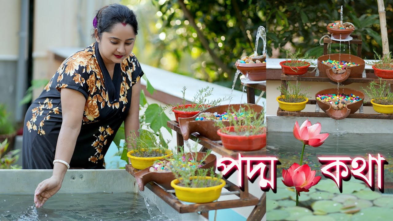 Vlog-13 How To Grow Lotus Plant || সখের পদ্ম পুকুর, মাছ আর ঝর্ণা।এদের মাঝেই শান্তি খুঁজে পাই ||