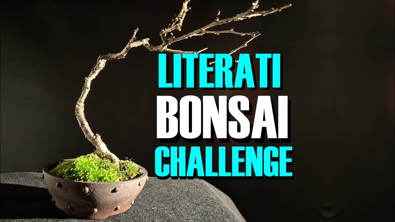 Literati Bonsai Challenge