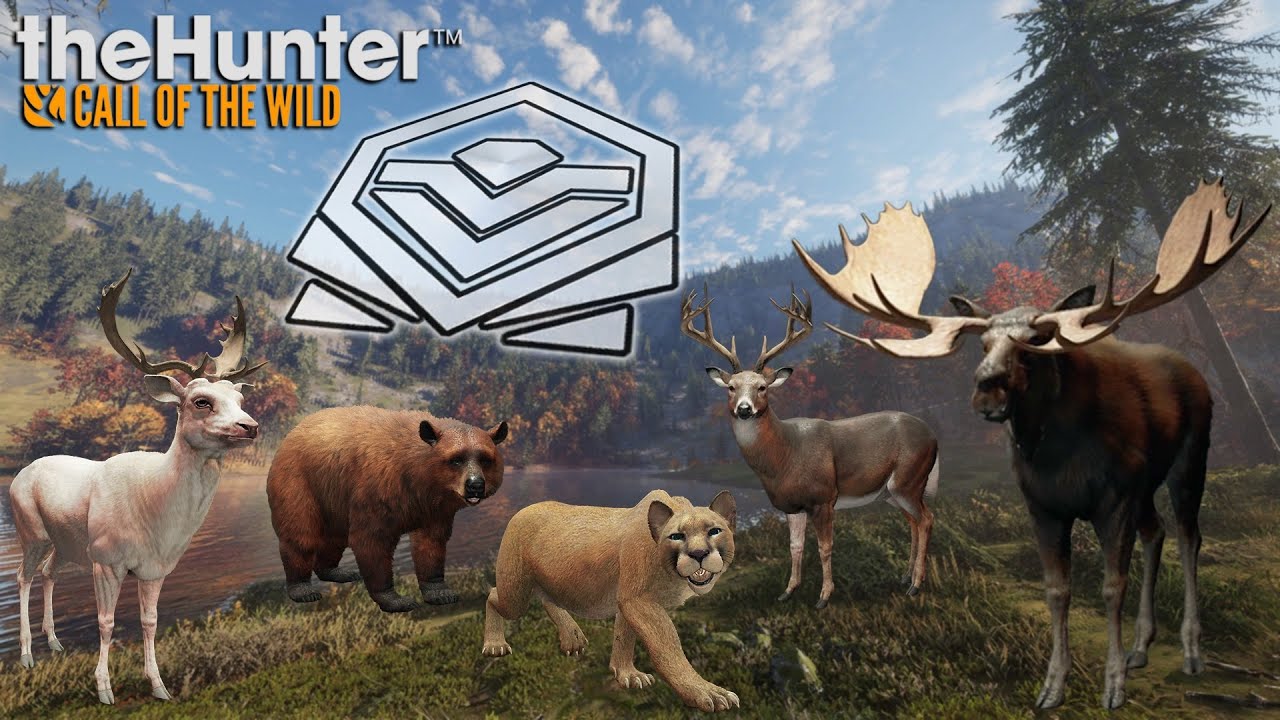 Diamond And Rare Montage #8!!! Call of the Wild