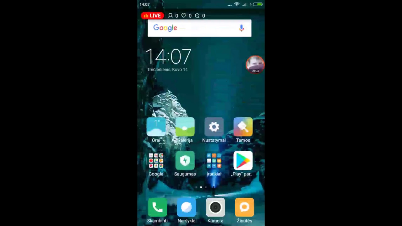 zaidziam streaminam