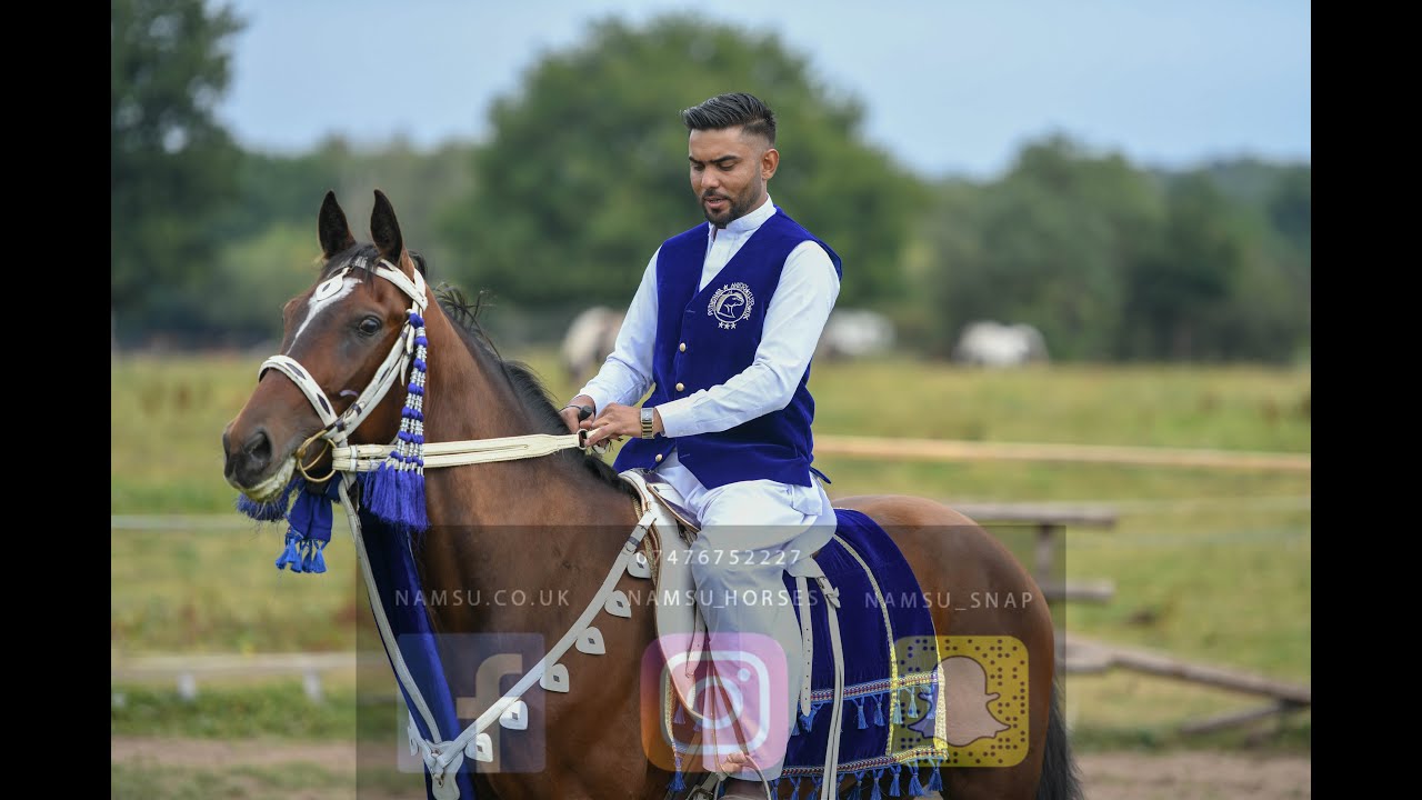 Horses- Tent Pegging 2020 - Walsall Neza Bazi 2020