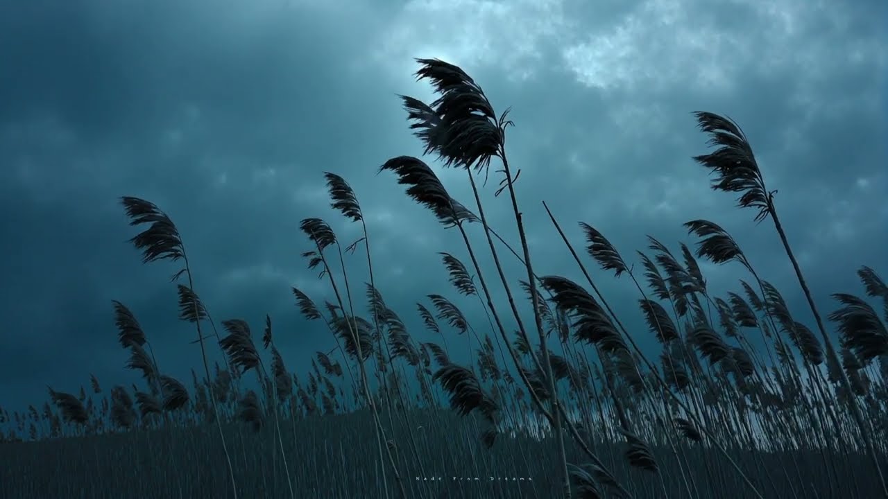 𝐭𝐡𝐞 𝐜𝐥𝐨𝐮𝐝𝐬 𝐮𝐧𝐝𝐞𝐫𝐬𝐭𝐚𝐧𝐝 𝐦𝐞 𝐛𝐞𝐭𝐭𝐞𝐫.