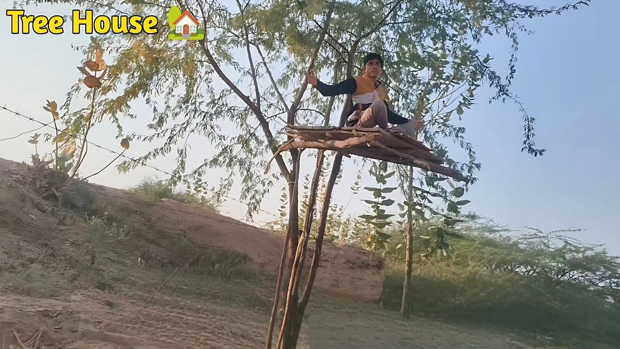जंगल के बीच बना शानदार Tree House | Amazing Tree House Tour 🌳@MRINDIANHACKER 