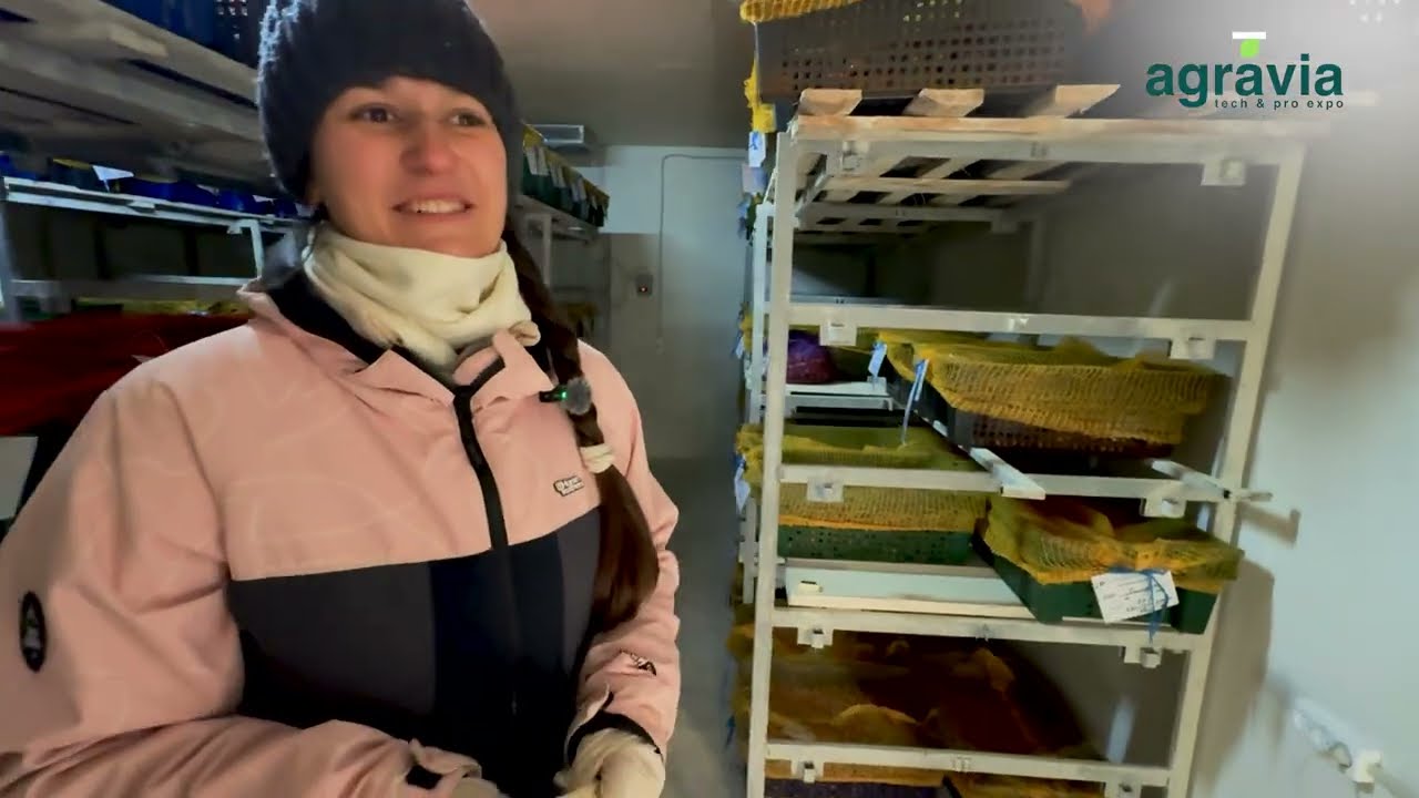 «Коломенские семена»: полный цикл, селекция и честный разговор о семеноводстве