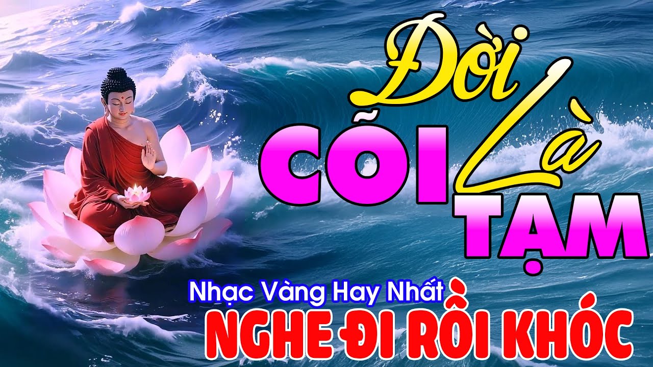 ĐỜI LÀ CÕI TẠM Mai Tiến Đạt➤Lk Nhạc Trữ Tình Bolero Hay Nhất Triệu View - Top 1 Thịnh Hành 24-08