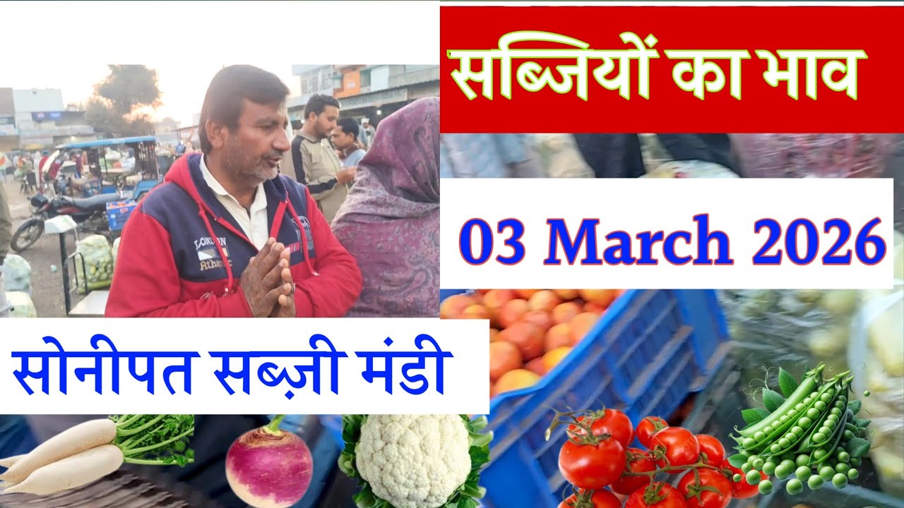 🫛🫑🥦🥒सभी हरी सब्जियों का होलसेल ताजा भाव सोनीपत सब्जी मंडी|today vegetable rates in Sonipat mandi