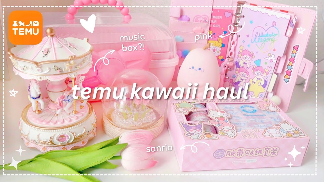 kawaii temu aesthetic haul 🛒💗 (sanrio, stationery, pink aesthetic finds) ✨