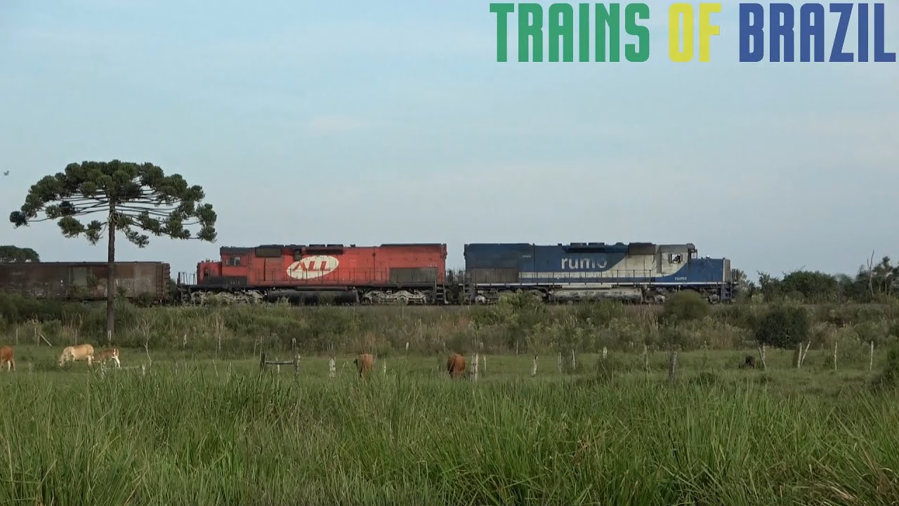 TRENS DA RUMO LOGÍSTICA NO PARANÁ (PARTE 3/MARÇO 2024)