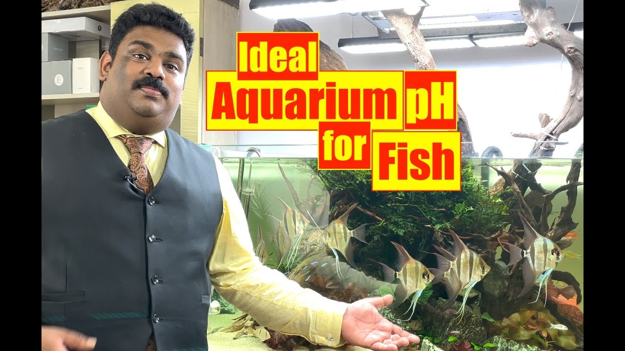 Best pH for Aquarium fish | Aquarium Water pH | Control Aquarium Water pH | Dr.Subin Mathews