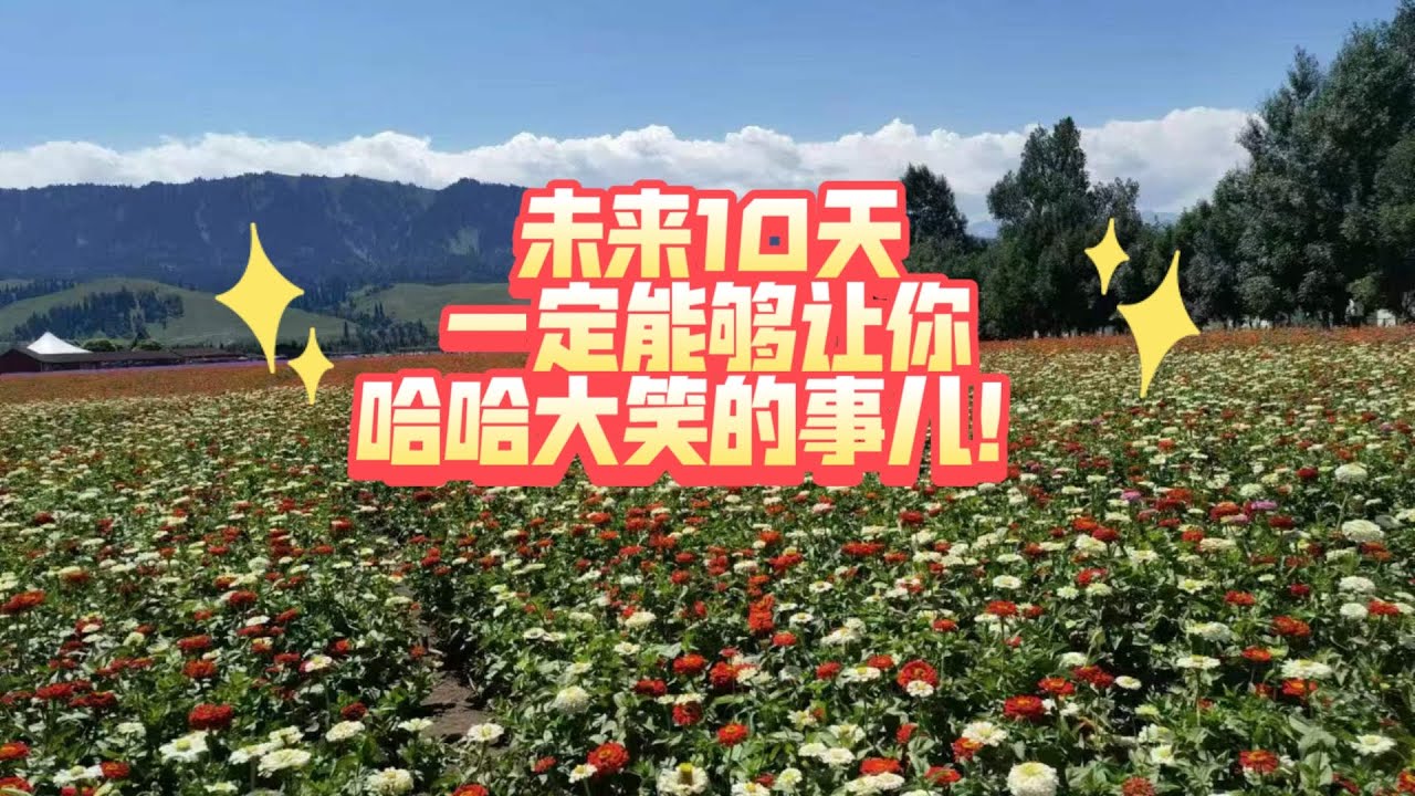 未来10天一定能够让你哈哈大笑的事儿！（不限关系  不限时空）
