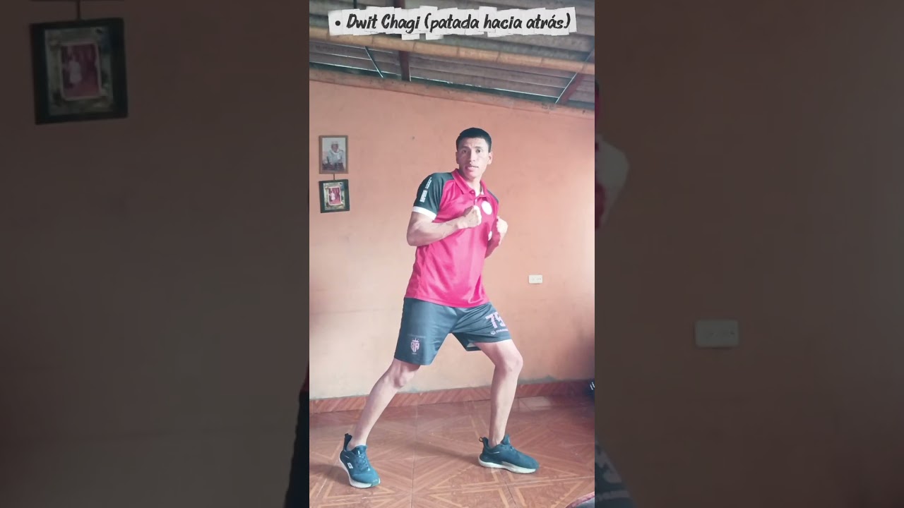 Taekwondo