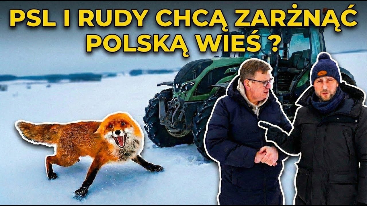 PSL i Rudy chcą zarżnąć Polską wieś?! | Miłosz  Kłeczek w Ruchu