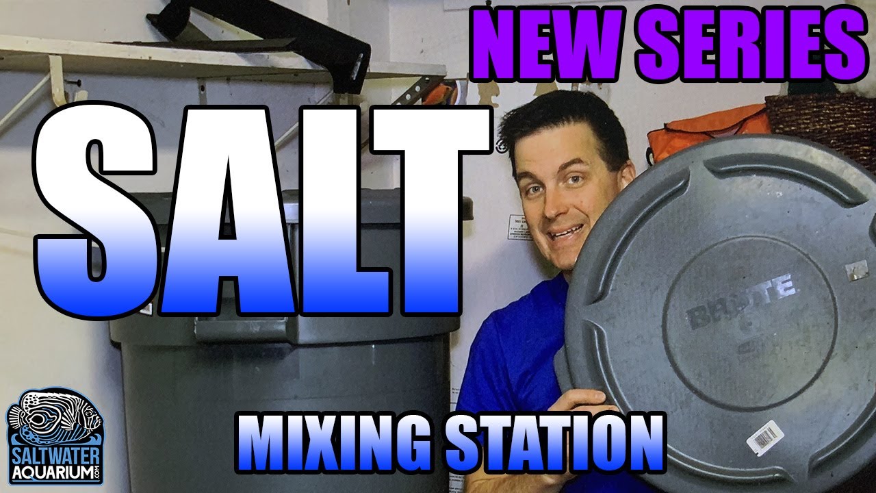 HOW TO: Build a Saltwater Mixing Station at Home for Your Aquarium or Reef Tank
