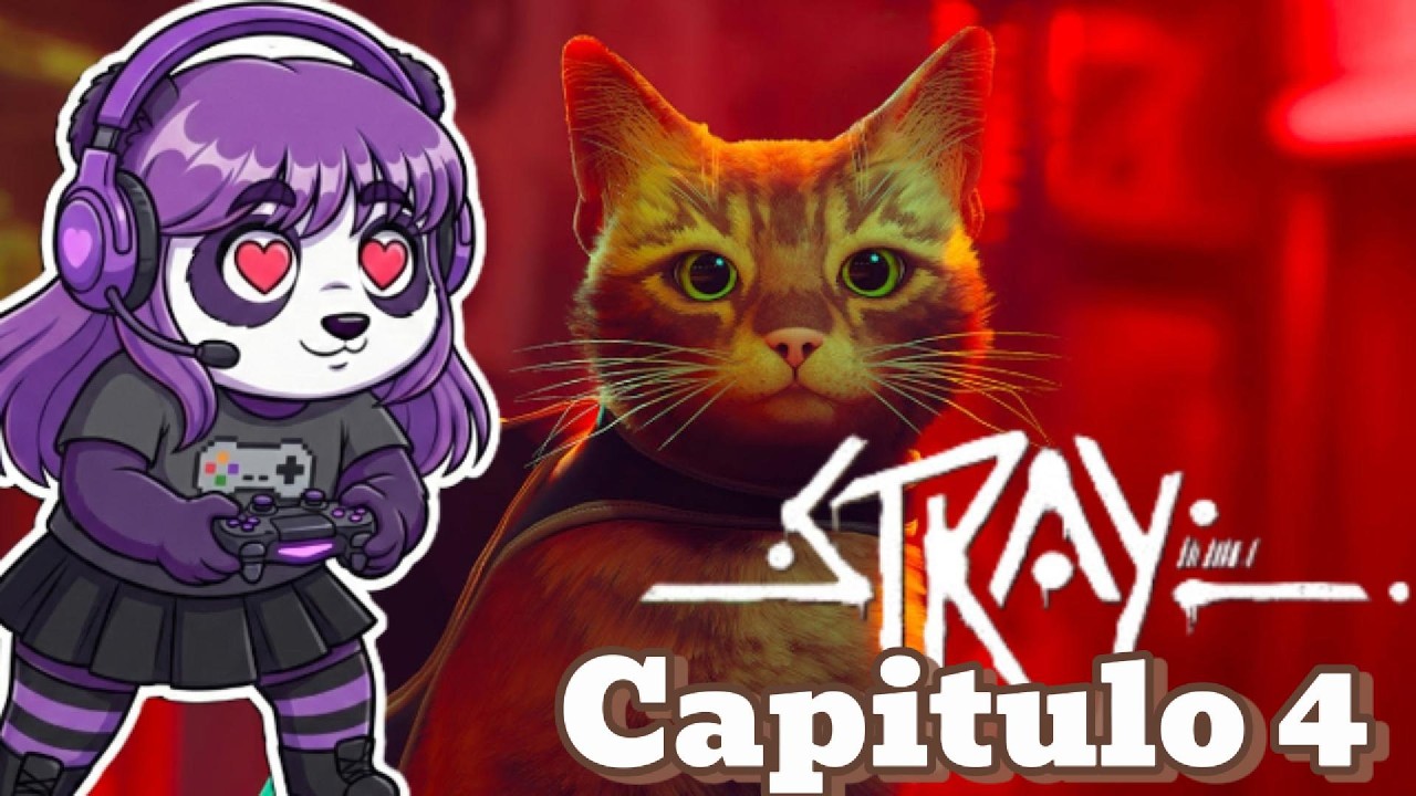 Stray | En busca de Doc