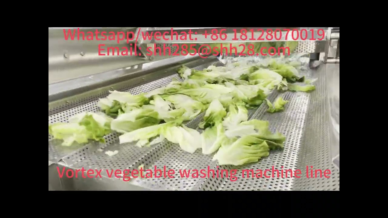 Automatic vortex vegetable washing machine fruit cleaning machine ozone salad washing line machinery