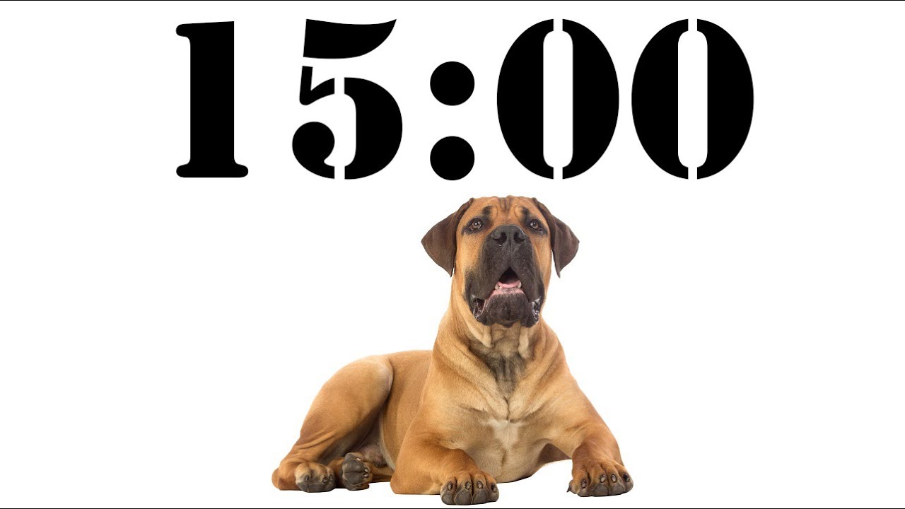 15 Minute Dog Timer for School and Homework. Dog Bark Alarm Sound