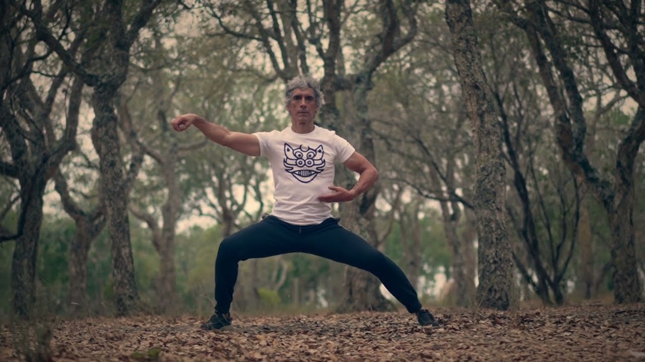 Chen Taijquan slow motion