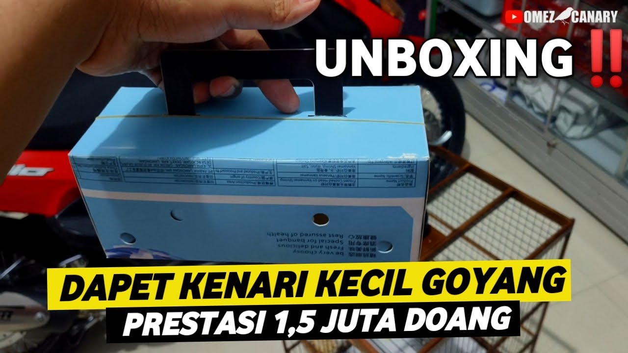 UNBOXING‼️AKHIRNYA DAPET KENARI GOYANG LAGI GAYANYA KEREN