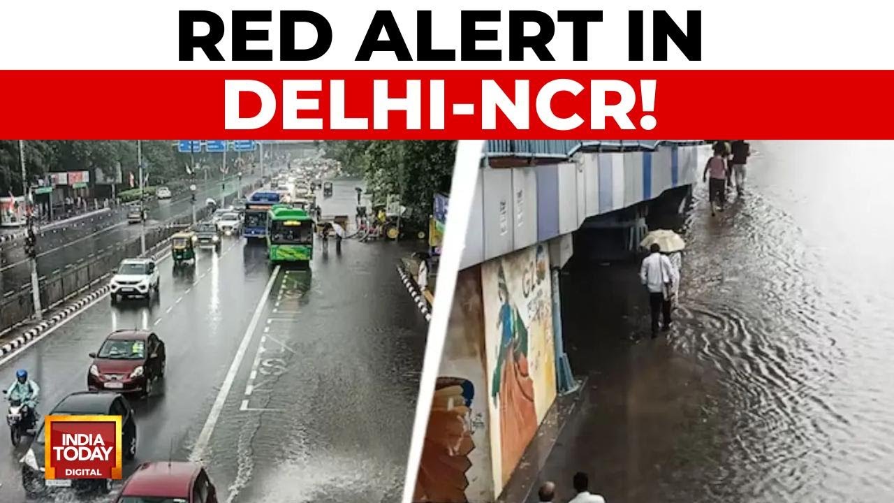 Delhi-NCR On Red Alert: IMD's Red Alert Amid Non-Stop Rains and Waterlogging | India Today News