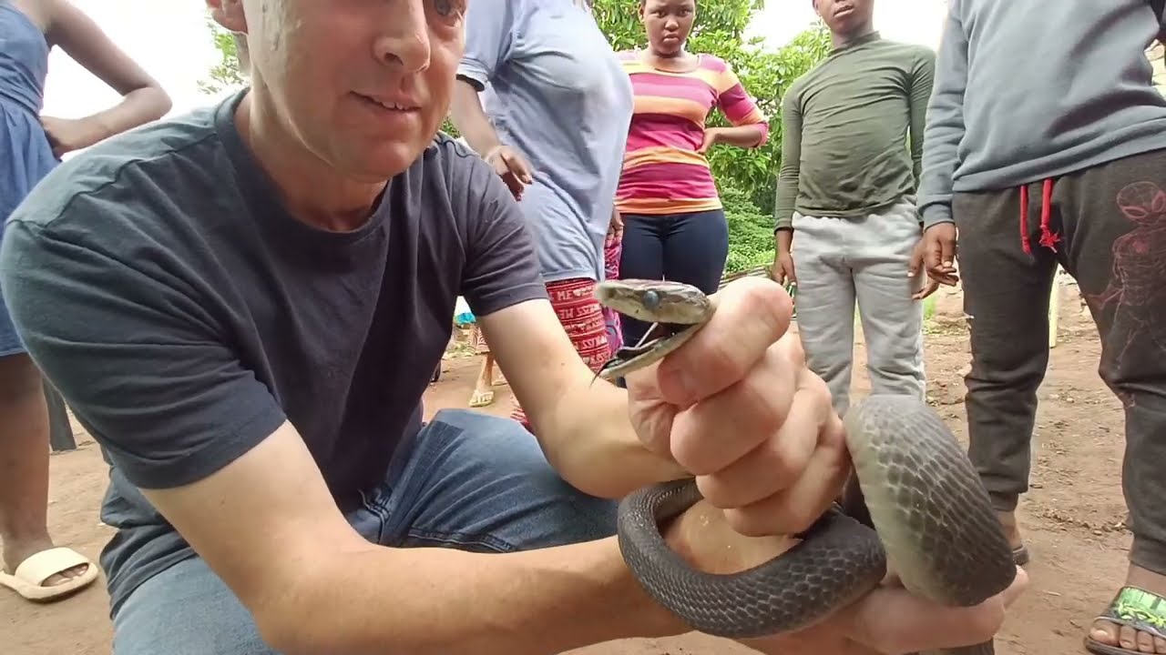 BLACK MAMBA SPENDS THE NIGHT INSIDE HOME, UNBEKNOWN TO FAMILY.