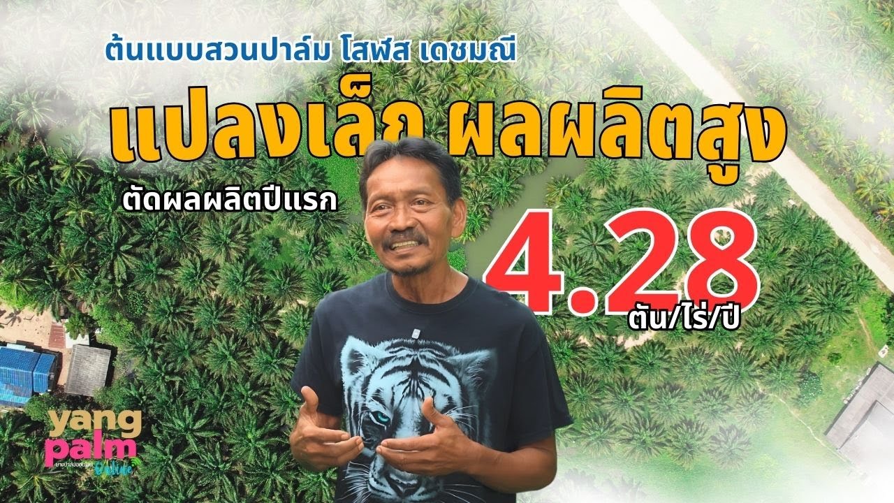 [Eng Subs] ตอน 1 ต้นแบบสวนปาล์ม โสฬส เดชมณี แปลงเล็ก ผลผลิตสูง ตัดปีแรก 4.28 ตัน/ไร่