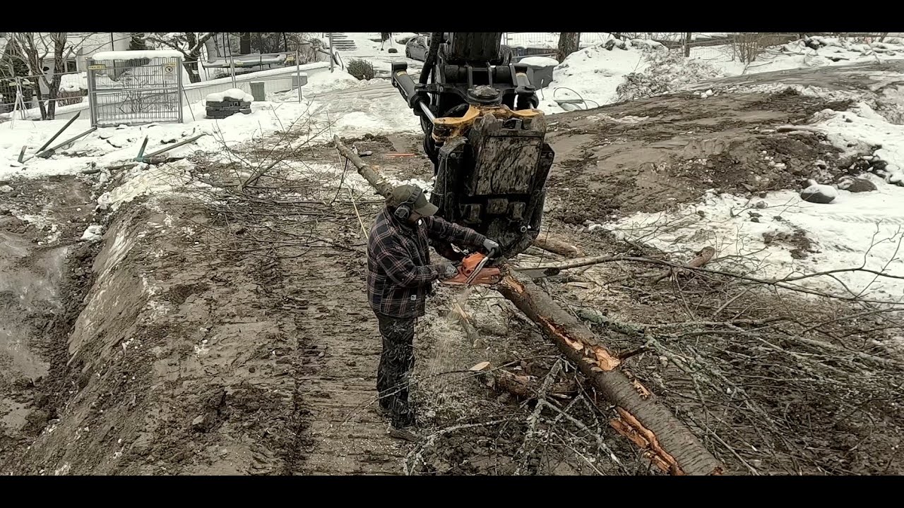 An excavator is being used to cut logs