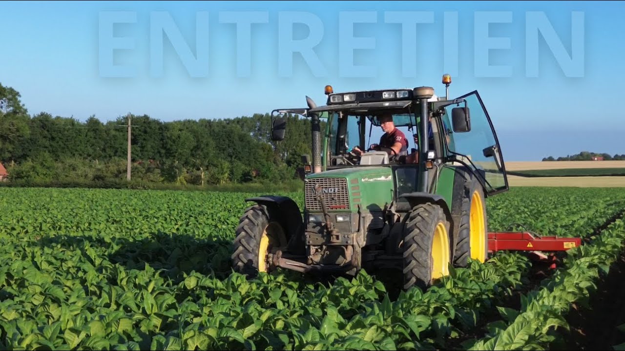 Entretien des cultures - Tabac & PDT - Fendt 512