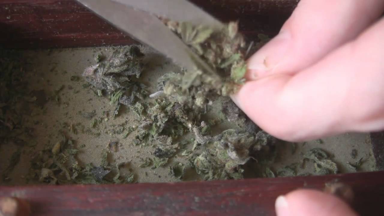 tokin daily: scissor hash