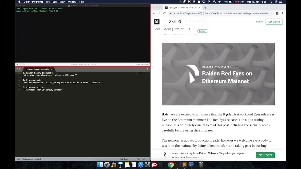 Raiden Network - How to install a Raiden node on the Ethereum Mainnet