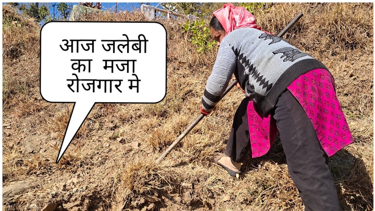 रोजगार के साथ साथ जलेबी का मजा #देवभूमि  #उत्तराखंड #चमोली 