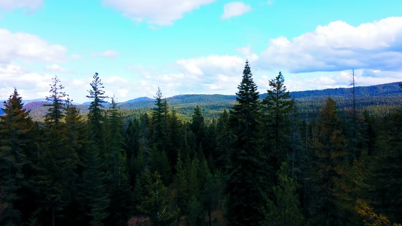 Naches WA Camping
