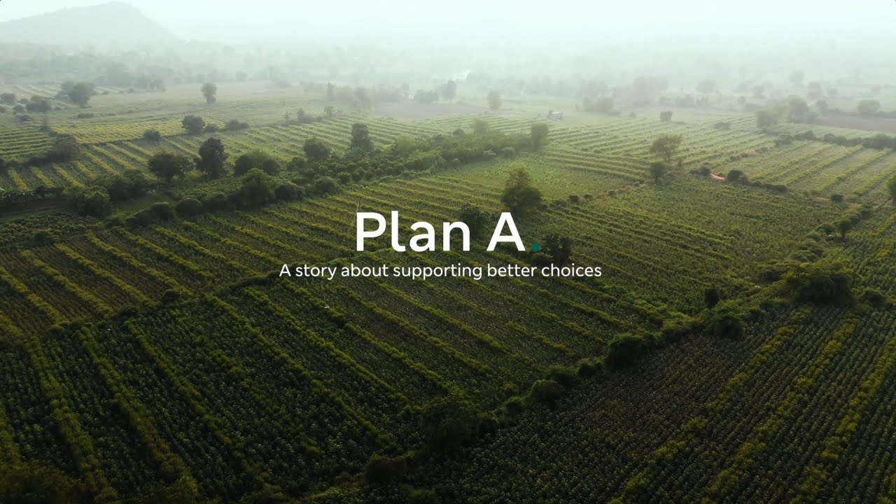 Cotton - Plan A | M&S News