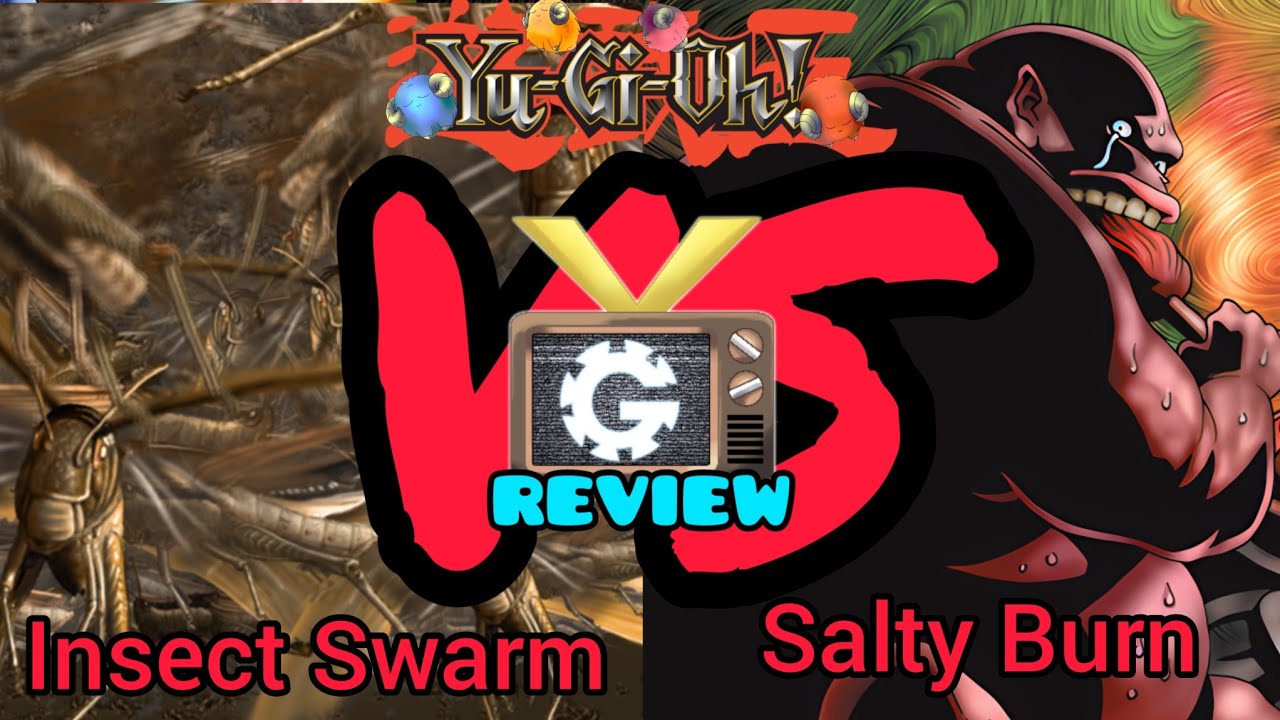 Yu-Gi-Oh! TCG Goat Format Insect Swarm VS Burn Match Duel Review / DB Rated Match Duel / VaughnGear
