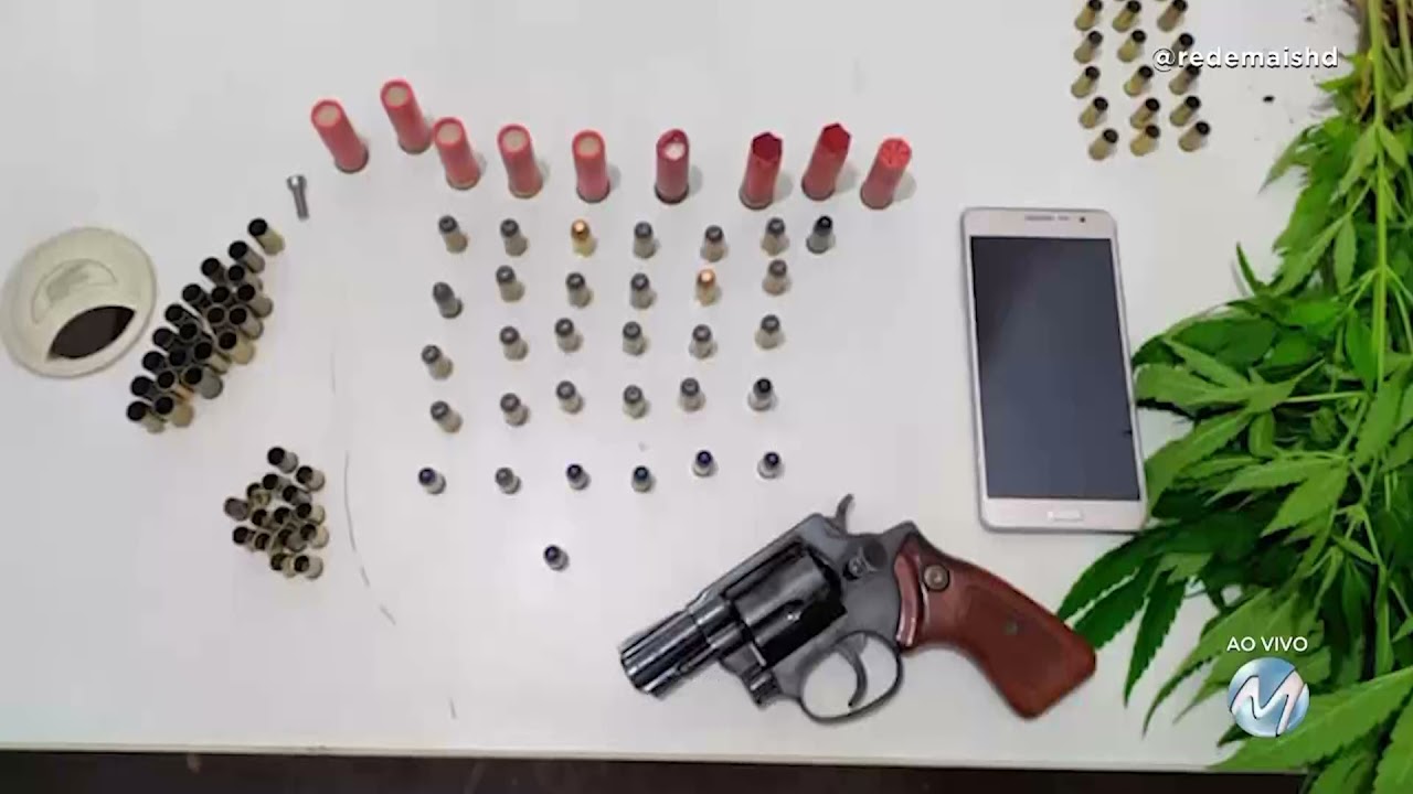 Campestre: PM descobre planta&ccedil;&atilde;o de maconha em uma casa
