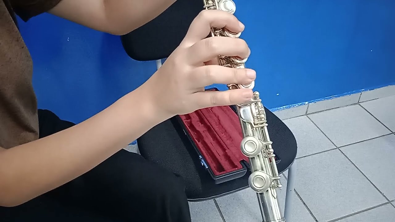 V&iacute;deo 1 - Rotina de estudo flauta