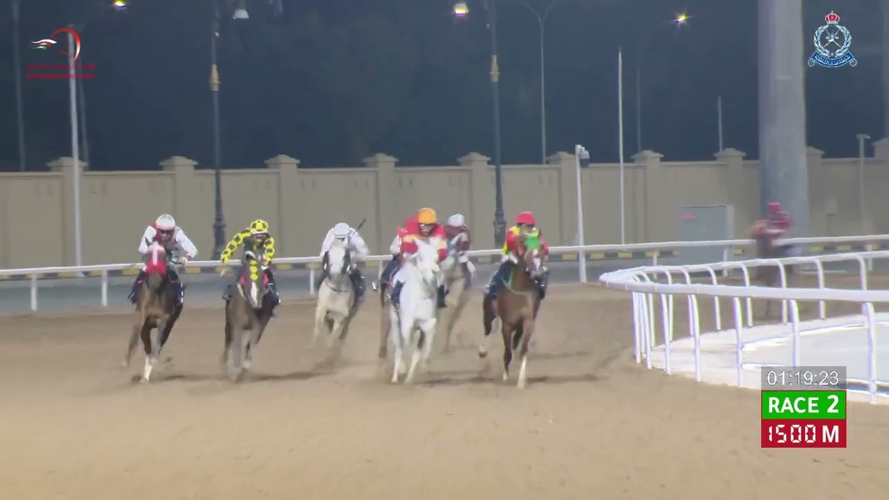 Race 2 - 18th Meeting - Watiyah - 25/02/2026