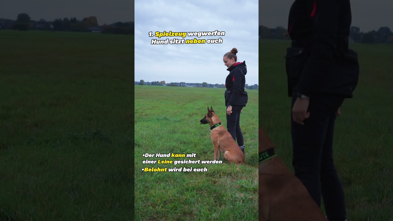 3 Übungen für die Impulskontrolle 😍 