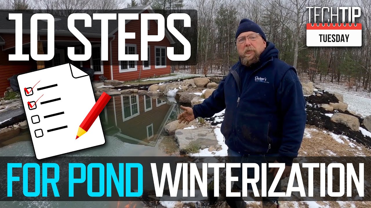 Master the Chill: 10 Essential Steps for Ultimate Pond Winterization